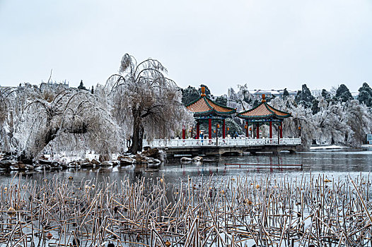 du doan than tai mien nam