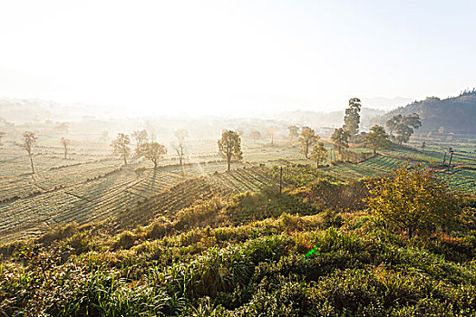 xổ số kiên giang chủ nhật