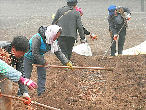 soi cầu xổ số kiên giang