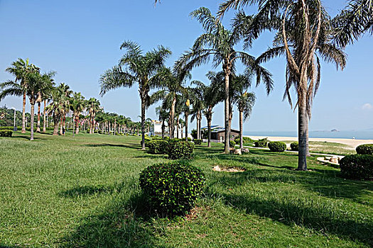 soi cau 88 rong bach kim