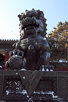 bạch thủ lô khung 5 ngày