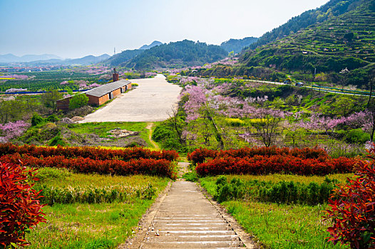 xổ số quảng ninh