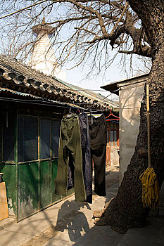 du doan minh ngoc