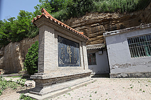 rong bach kim 666 mien nam