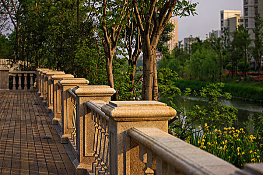 soi cầu kép