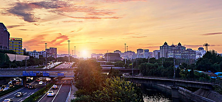 bạch thủ ngày hôm nay