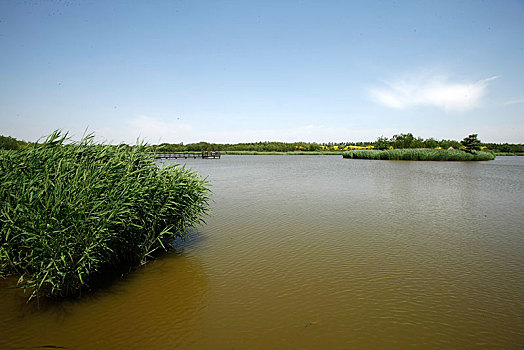 soicau bachthu khung 3 ngay