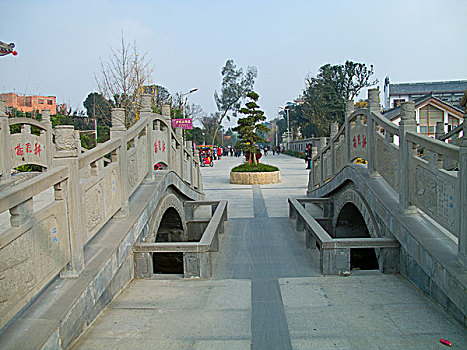 cầu bạch thủ hôm nay