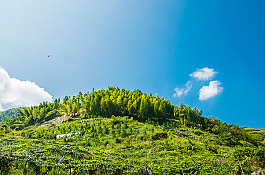 bach thu de mien bac hom nay