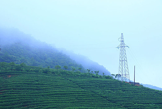 chơi lô miền nam