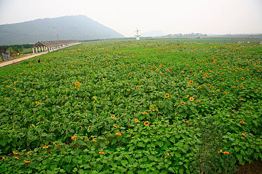 xo so minh ngoc thu 6
