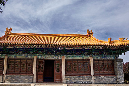 bach thu hom nay