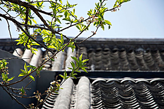xổ số miền bắc 288