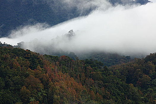 số đề hôm nay