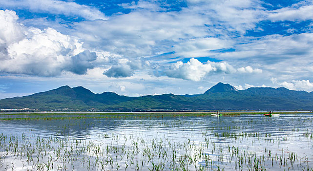 soi đề mb