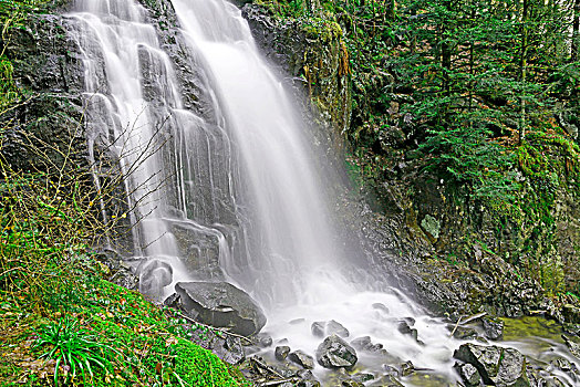 du doan mb
