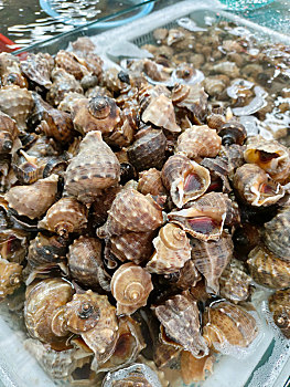 xổ số hôm nay ba đài