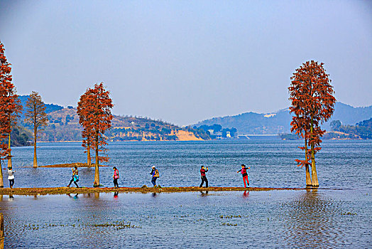 soi cau nhanh