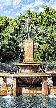 soi cau mien phi 888 org