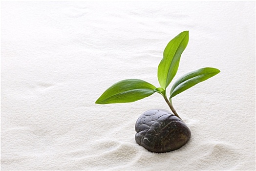 cách soi cầu đề
