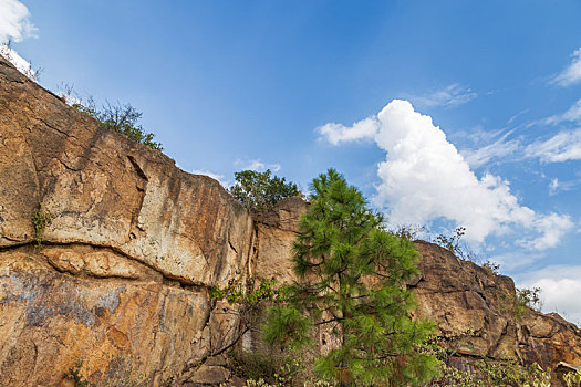 xs quang ninh