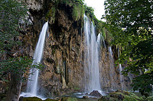 bạch thủ đề chuẩn