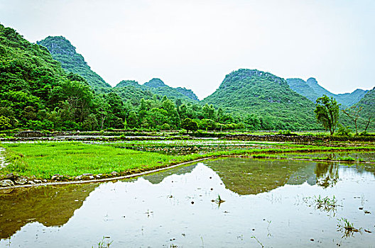 quay so chuan