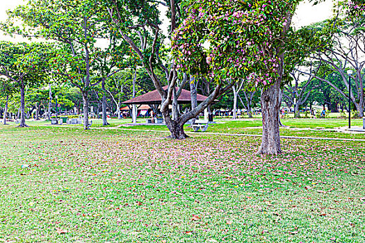 số ba miền