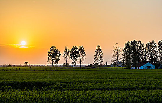 thống kê xổ số kon tum