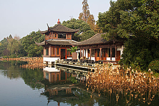 soi câu bach kim