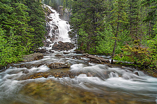 soi câu bach thu xsmb