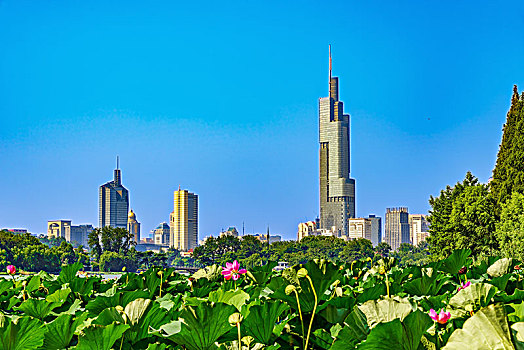 bach thu la