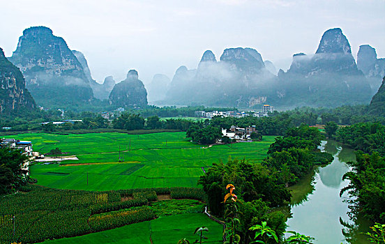 soi cau lo mien phi