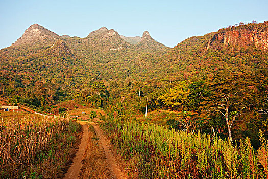 xs mien bac minh ngoc