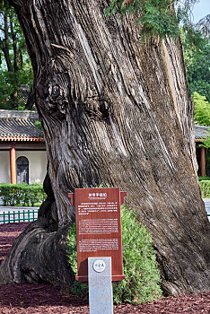 soi lô đề miền bắc