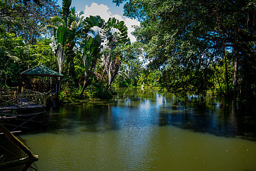 soi cau lo kep ngon