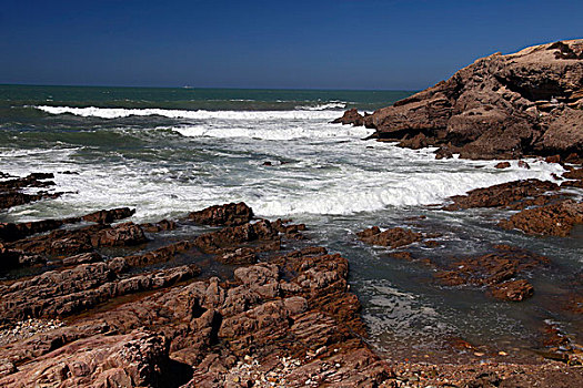 soi cau lô