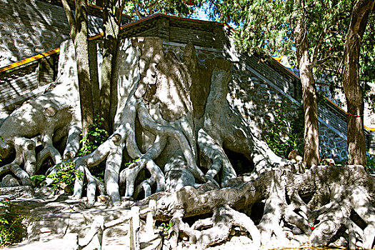 lô bạch thủ hôm nay