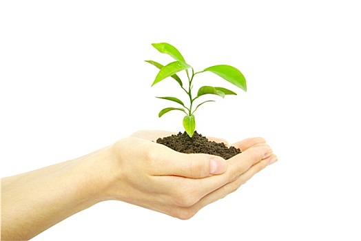 bạch thủ lô hôm nay miễn phí