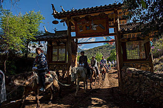 soi cau lo chuan mien bac