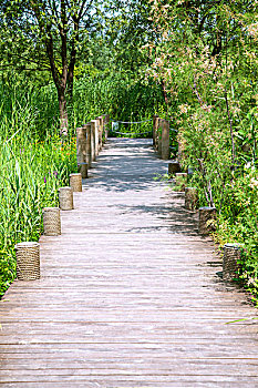 xổ số miền nam thứ 7