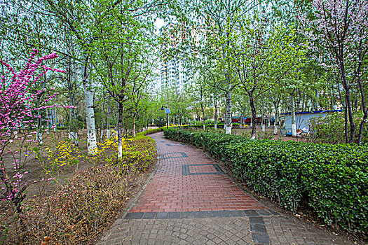 xổ số kiên giang hàng tuần