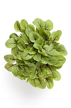 soi cầu 88 99