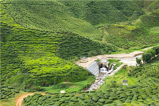 kết quả dự đoán xổ số miền nam