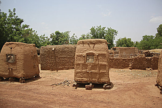lo bạch thủ hôm nay