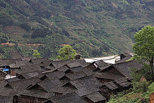 kqxs tiền giang