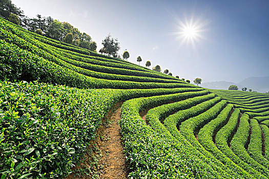 xổ số long an tuần trước