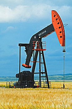 soi cau 568