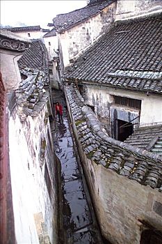 bạch thủ ngày hôm nay
