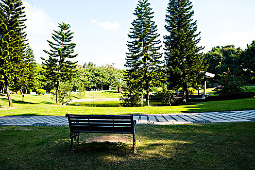 bạch thủ lô hôm nay miễn phí
